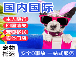 乌兰察布机场物流国际宠物托运 【国
